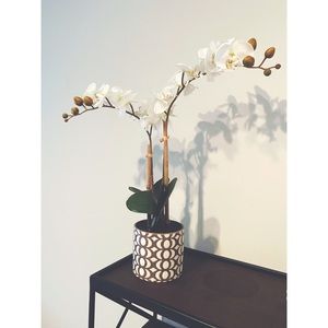 White Faux Orchid with Gray/White Vase